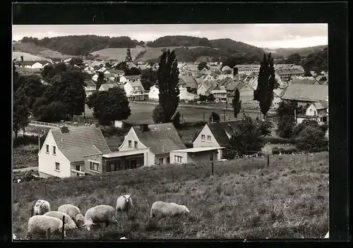 AK Uder /Eichsfeld, Ortsansicht mit Schafen