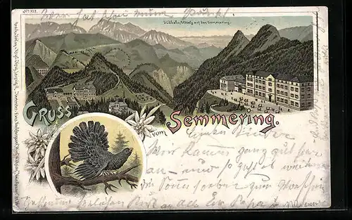 Lithographie Semmering, Südbahn-Hôtels auf den Semmering