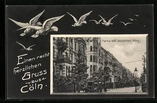 AK Köln-Neustadt, Partie am deutschen Ring, Brieftauben