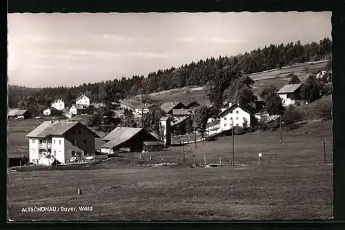 AK Altschönau /Bay., Ortsansicht mit Wiesen