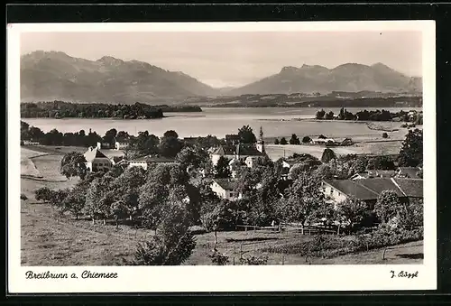 AK Breitbrunn a. Chiemsee, Ortsansicht mit See