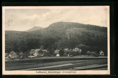 AK Steinbergen /Wesergebirge, Ortsansicht aus der Vogelschau