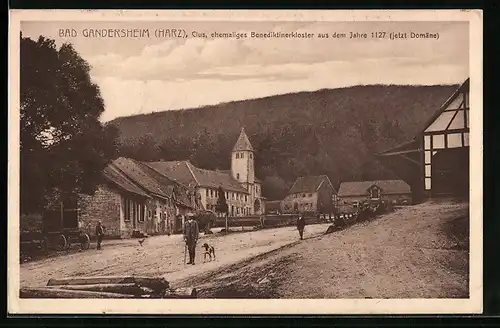 AK Bad Gandersheim /Harz, Clus, ehemaliges Benediktinerkloster aus dem Jahre 1127, Jetzt Domäne