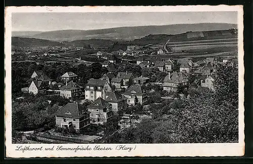 AK Seesen /Harz, Ortsansicht aus der Vogelschau