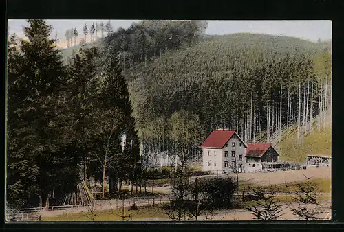 AK Seesen a. H., Forsthaus Neckelnberg