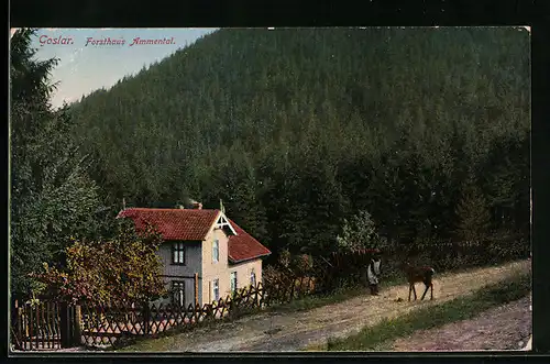 AK Goslar, Forsthaus Ammental