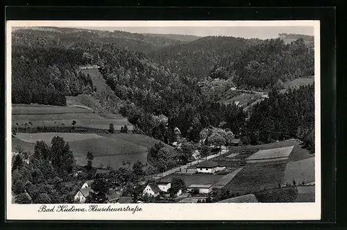 AK Bad Kudowa, Gesamtansicht mit Heuscheuerstrasse