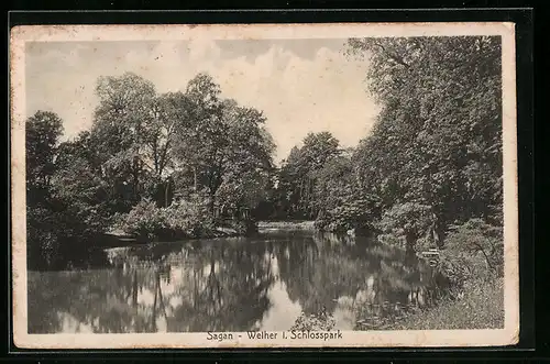 AK Sagan, Weiher im Schlosspark