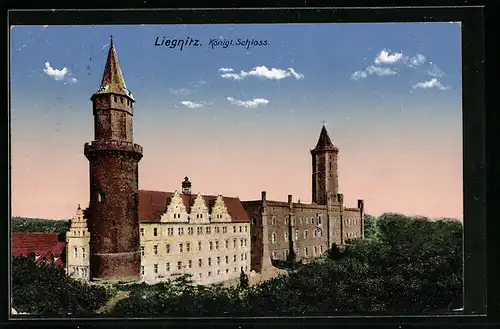 AK Liegnitz, Totalansicht vom Königl. Schloss