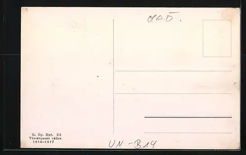 AK Budapest, Teilansicht der Burg Vajdahunyad