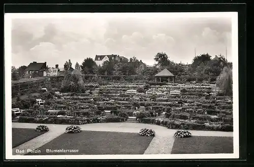 AK Bad Polzin, Ansicht Blumenterrasse