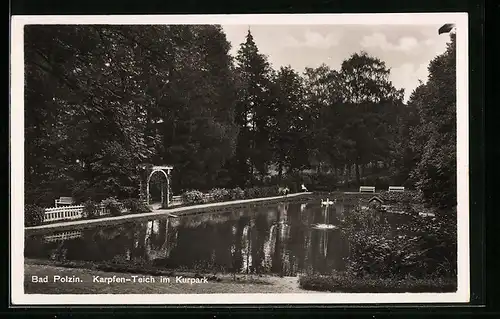 AK Bad Polzin, Karpfen-Teich im Kurpark