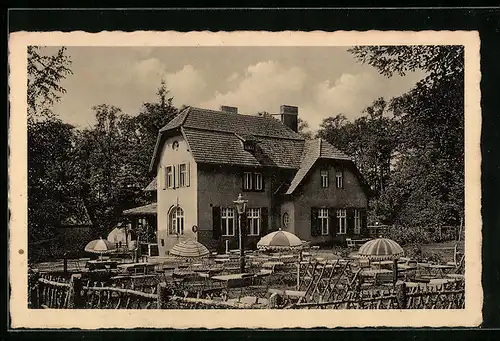 AK Zielenzig, Stadtwald-Restaurant, Gasthaus