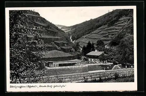 AK Walporzheim /Ahrtal, Gasthaus Zur Bunten Kuh-Felsidylle