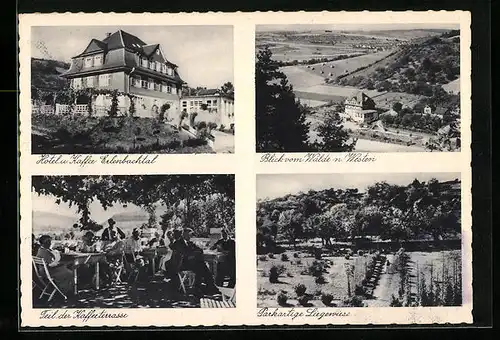 AK Bad Mergentheim, Hotel und Cafe Erlenbachtal, Parkartige Liegewiese