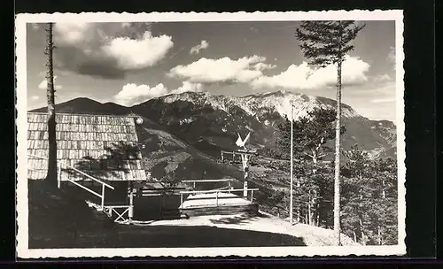 AK Puchberg a. Sch., Panorama vom Berglift am Himberg