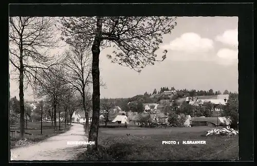 AK Echsenbach, Ortsansicht mit Landstrasse