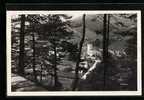 AK Türnitz, Kirche von einem Höhenweg gesehen