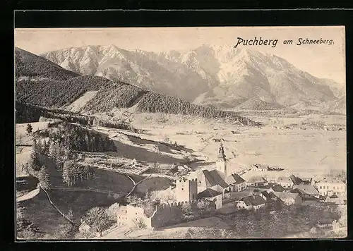 AK Puchberg am Schneeberg, Ortsansicht aus der Vogelschau