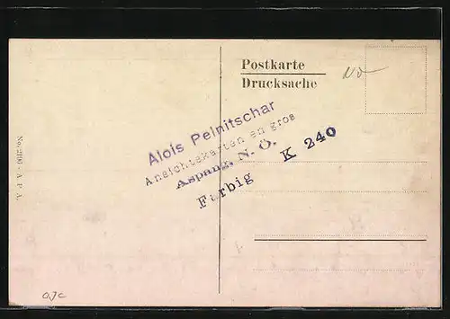 AK Markt Piesting, Ortsansicht mit Feldern