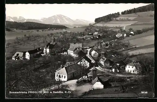 AK Prigglitz, Gesamtansicht mit Umgebung