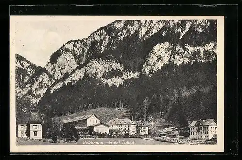 AK Reichenau, Hotel Talhof, Bergmassiv