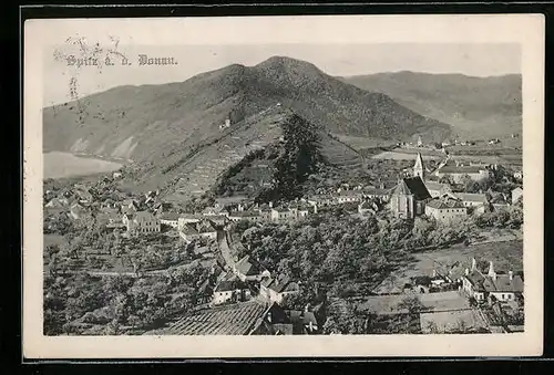 AK Spitz a. d. Donau, Totalansicht mit Weinberg