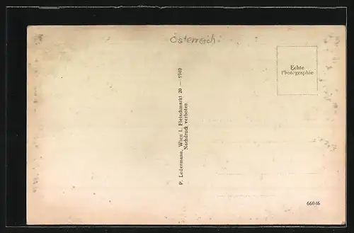 AK Wr. Neustadt, Strasse an der Kriegsschule