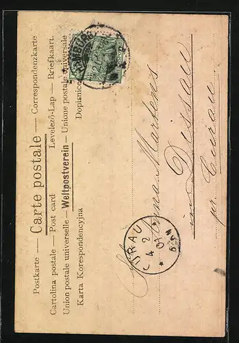 Lithographie Schwalbenmutter bringt hungrigen Jungen einen Wurm