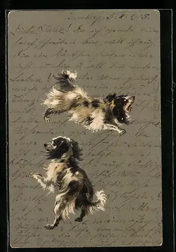 Präge-AK Zwei wilde junge Hunde mit schwarzweissem Fell