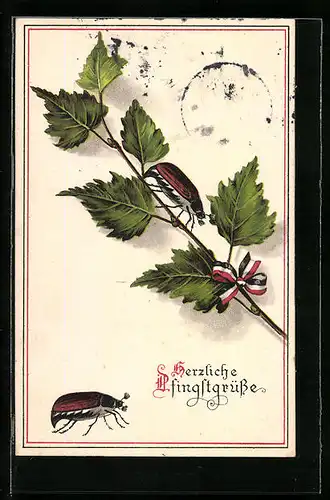 AK Maikäfer und Birkenzweig mit Schleife in Nationalfarben, Pfingstgruss