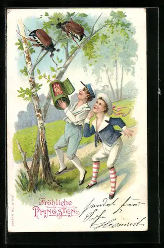 Präge-Lithographie Knaben beim Fangen von Maikäfern, Pfingstgruss
