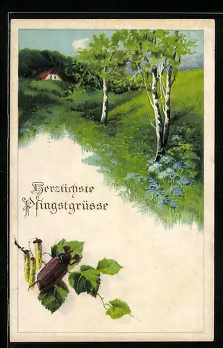 AK Maikäfer auf Birkenblättern vor grüner Landschaft, Pfingstgruss