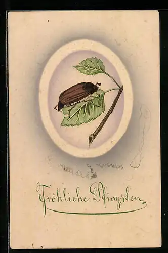 Präge-AK Maikäfer auf Birkenblatt, Pfingstgruss