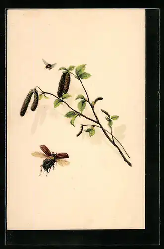 AK Fliegende Maikäfer und Birkenzweig mit Troddeln