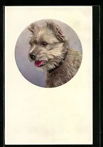 AK Portrait eines Terriers mit Halsband