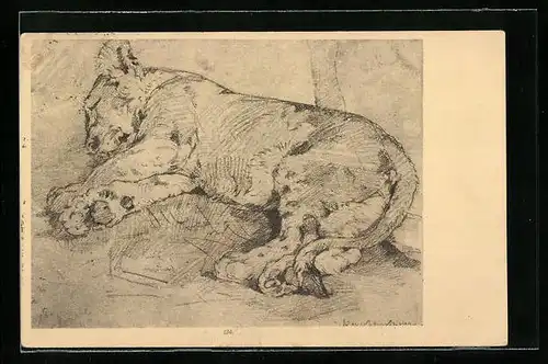 AK Schlafender junger Löwe