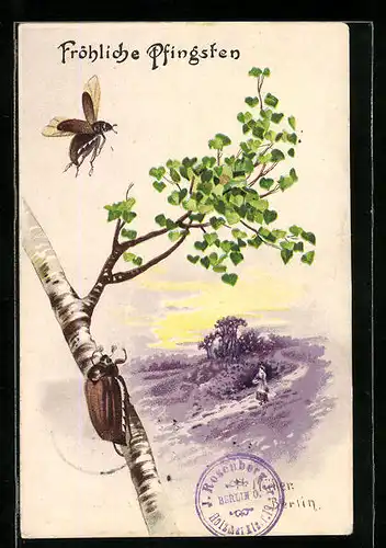 Lithographie Maikäfer vor Heidelandschaft, Pfingstgruss
