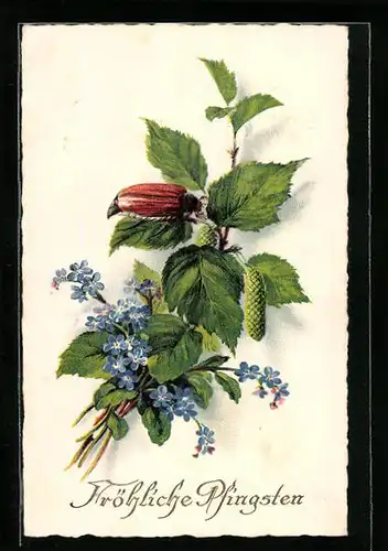 AK Maikäfer an Birkenzweig mit Vergissmeinnicht, Pfingstgruss