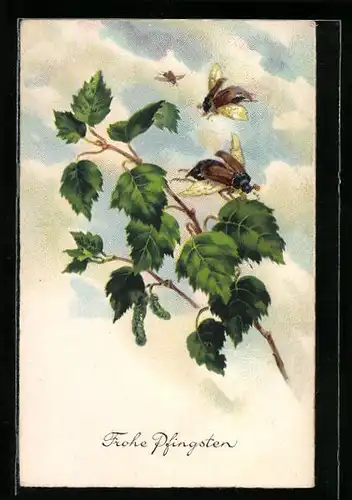 AK Fliegende Maikäfer und Birkenzweig, Pfingstgruss