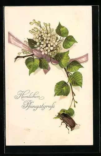Präge-AK Maikäfer, Birkenzweig und Blütenstrauss, Pfingstgruss