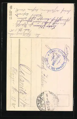 Präge-AK Maikäfer, Birkenzweig und Blütenstrauss, Pfingstgruss