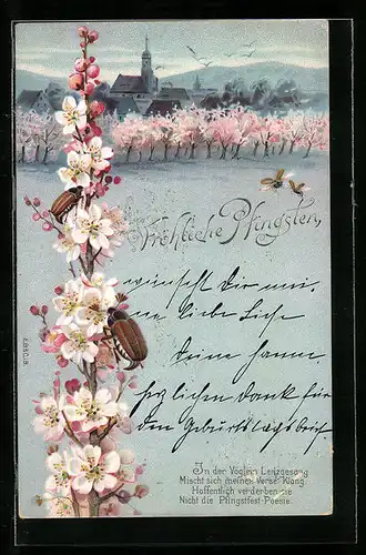 Lithographie Maikäfer an blühendem Zweig, Pfingstgruss