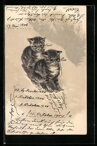 Lithographie Zwei kleine Katzen im Schnee
