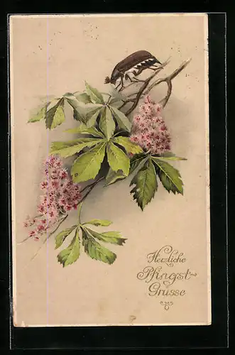 AK Maikäfer auf blühendem Kastanienzweig, Pfingstgruss