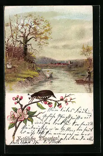 AK Flusspartie und Maikäfer auf Blütenzweig, Pfingstgruss