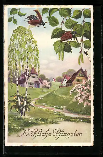 AK Maikäfer in Frühlingslandschaft, Pfingstgruss
