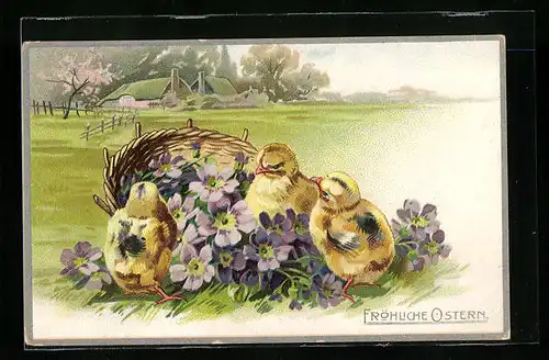 AK Fröhliche Ostern, Osterküken in Blüten