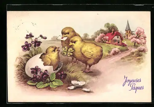 AK Osterküken mit Brief und Kleeblatt