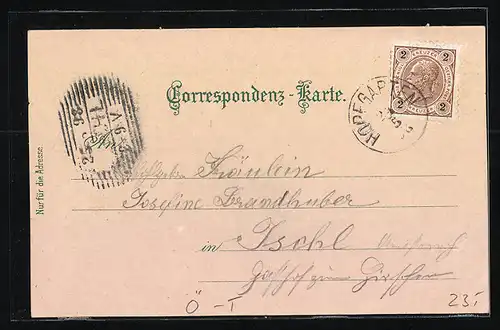 Lithographie Itter bei Hopfgarten, Gesamtansicht, Hohe Salve, Villa Krauss